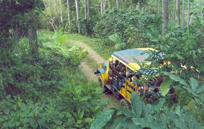 Nature Tour Nicho - Cienfuegos Nature Tour Nicho - Cienfuegos