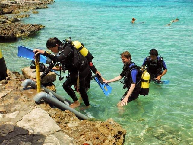 Nature Tour – Ciénaga de Zapata Nature Tour – Ciénaga de Zapata