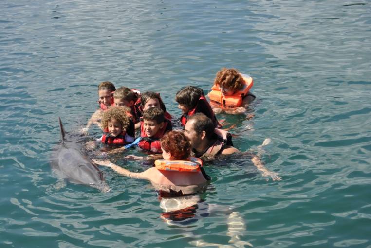 BAIN AVEC DAUPHINS BAIN AVEC DAUPHINS