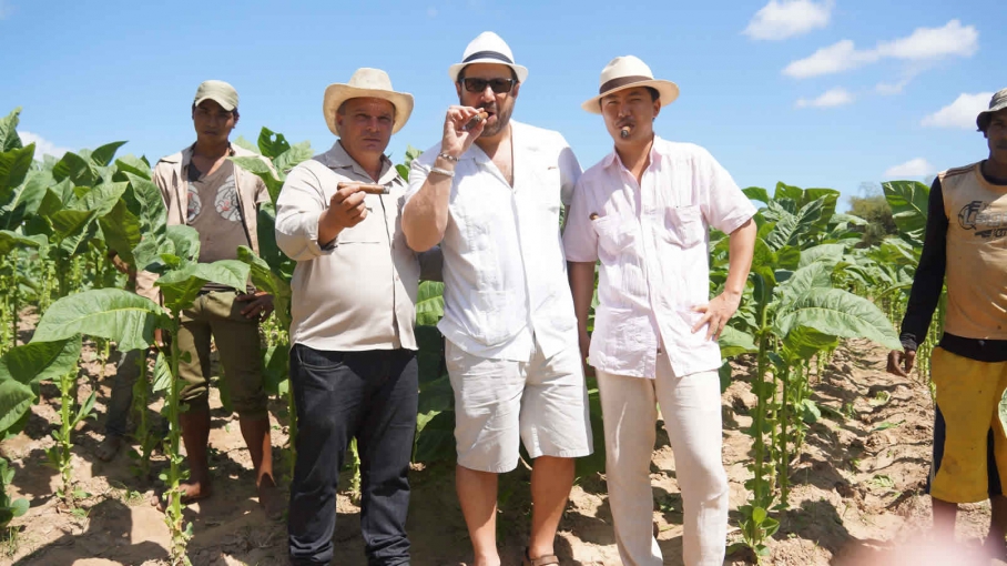 Expérience unique avec Héctor Luis, le plus jeune maître Habano du monde, sur sa ferme : Expérience unique avec Héctor Luis, le plus jeune maître Habano du monde, sur sa ferme :