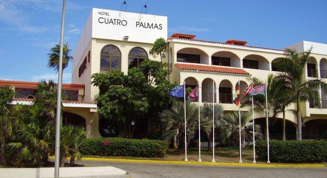 Cuatro palmas