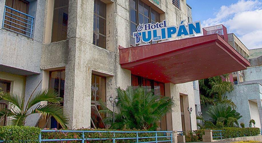 Hotel Tulipan