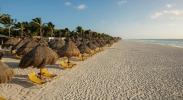  Iberostar Tucan