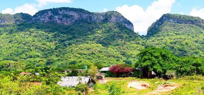 La vida rural en el Occidente de Cuba (PQ2019-13) (PQ2020-13) La vida rural en el Occidente de Cuba (PQ2019-13) (PQ2020-13)